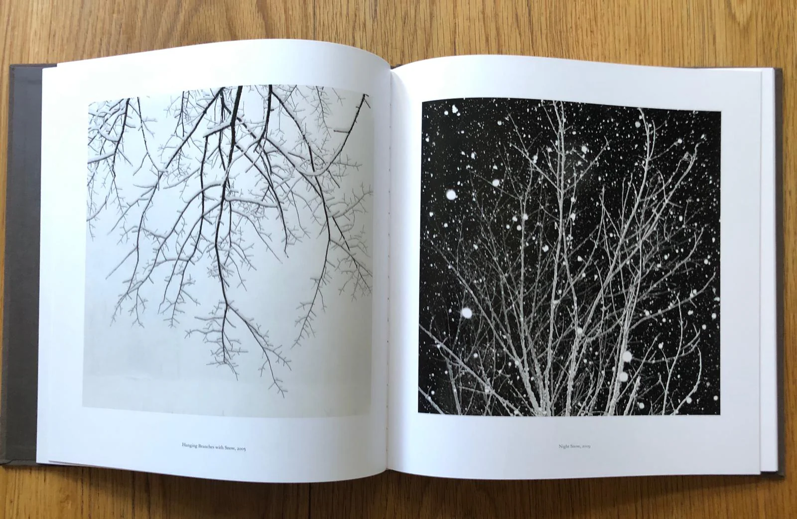 Winter - Image 6