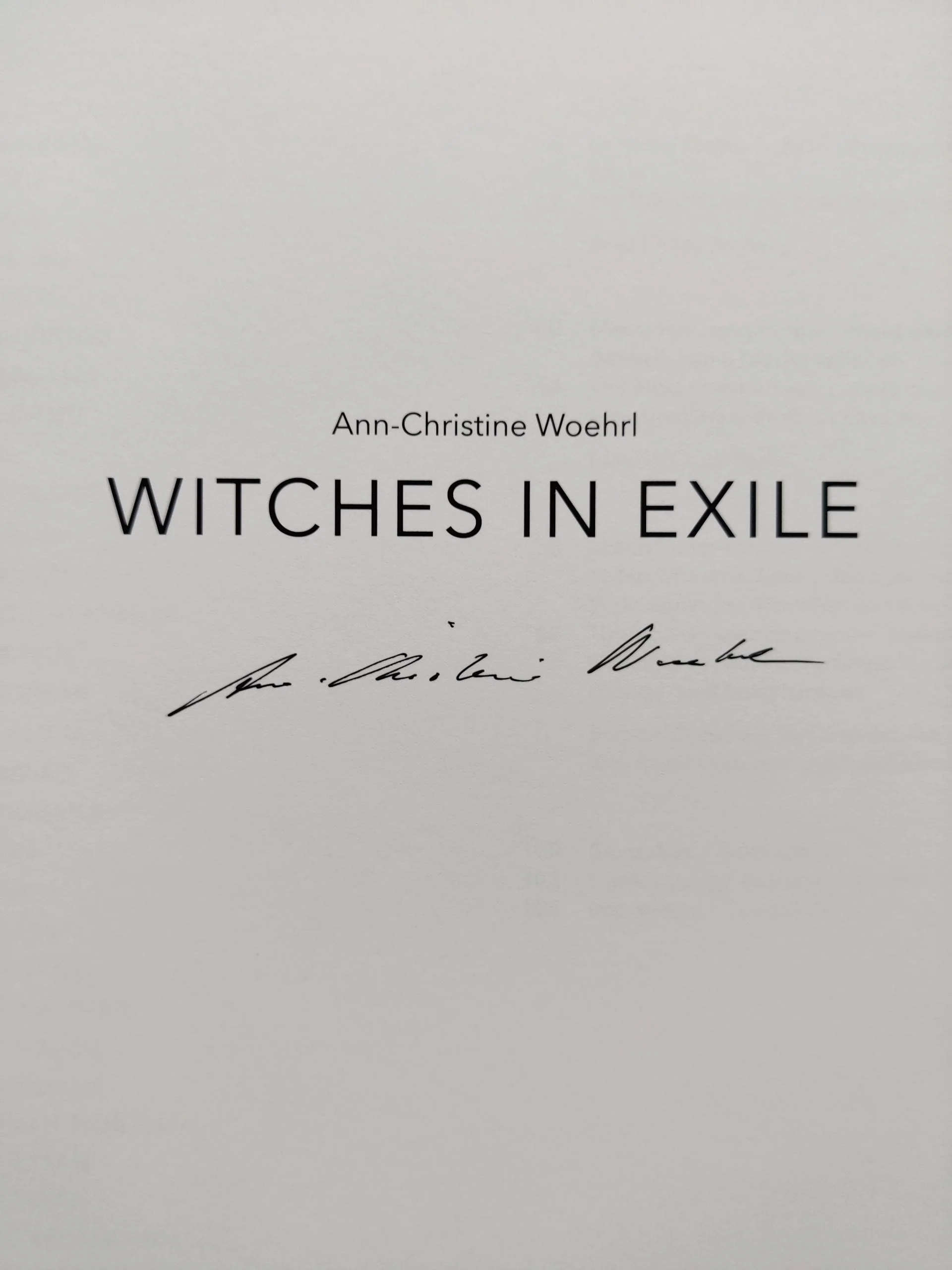 Witches in Exile - Image 2