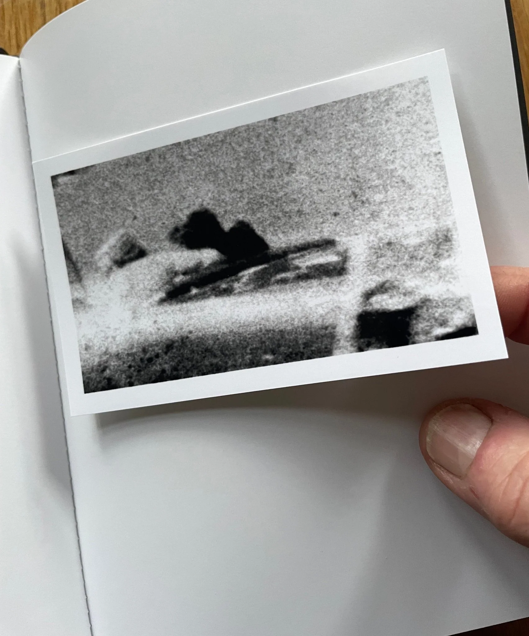 Witness (One Picture Book) - Image 3