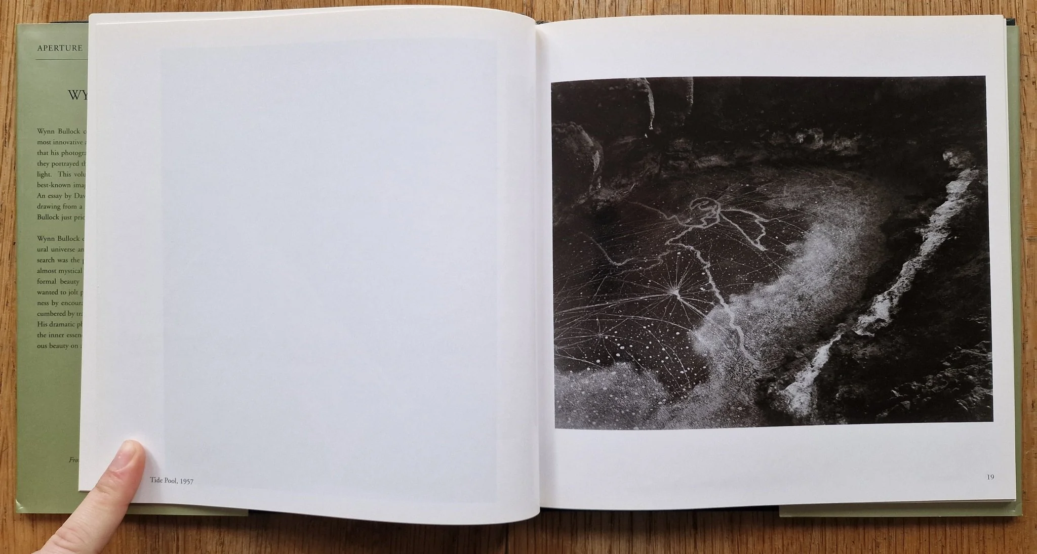 Wynn Bullock: Masters of Photography Series - Image 3