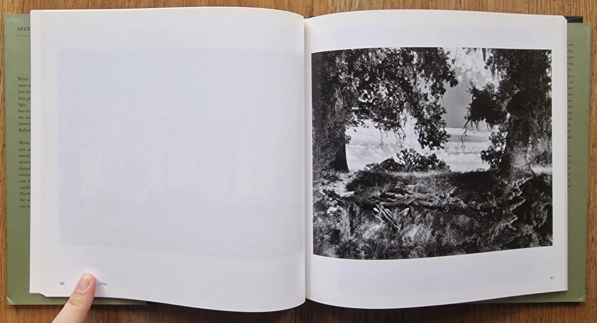 Wynn Bullock: Masters of Photography Series - Image 5