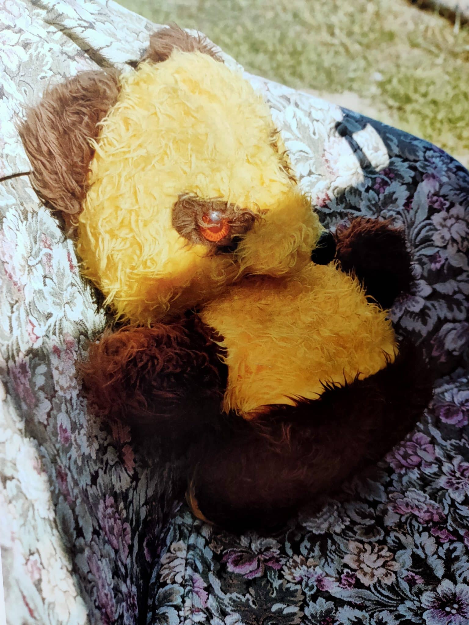 Yard Sale Photographs - Image 7